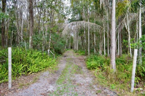 Terreno en venta en Odessa, Florida № 1512448 - foto 26