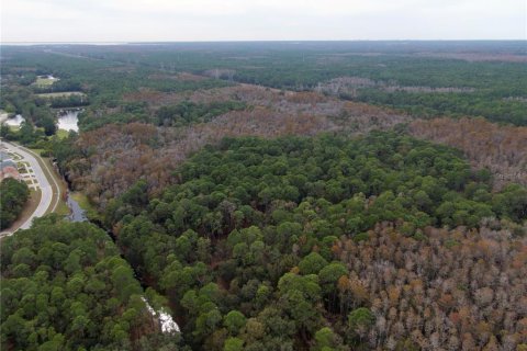 Terreno en venta en Odessa, Florida № 1512448 - foto 9