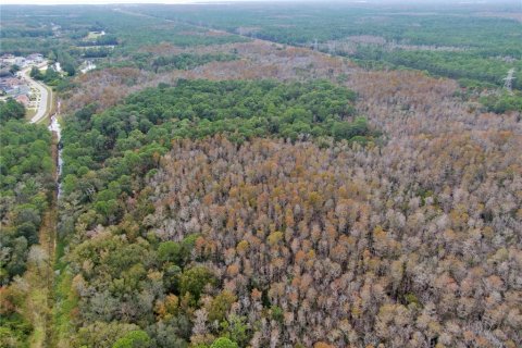 Terreno en venta en Odessa, Florida № 1512448 - foto 10