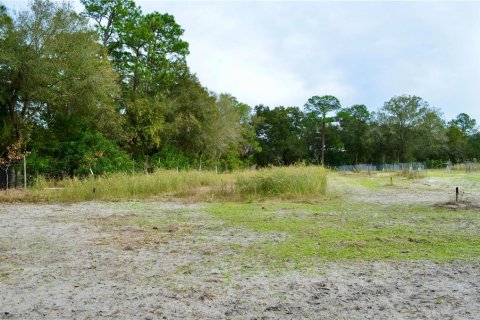 Terreno en venta en Odessa, Florida № 1512448 - foto 29