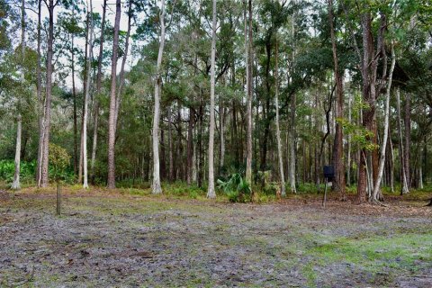 Terreno en venta en Odessa, Florida № 1512448 - foto 22