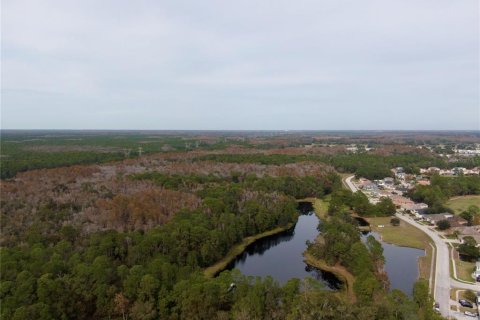 Terreno en venta en Odessa, Florida № 1512448 - foto 7