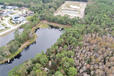 Terreno en venta en Odessa, Florida № 1512448 - foto 6