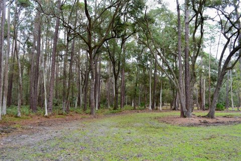 Terreno en venta en Odessa, Florida № 1512448 - foto 17