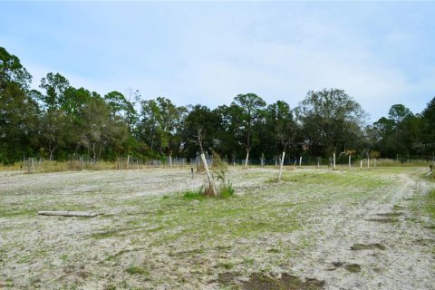 Terreno en venta en Odessa, Florida № 1512448 - foto 30