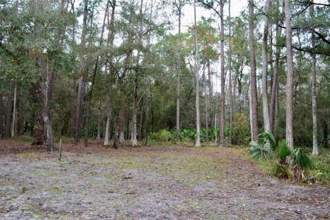 Terreno en venta en Odessa, Florida № 1512448 - foto 18