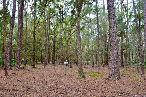 Terreno en venta en Odessa, Florida № 1512448 - foto 19