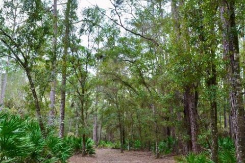 Terreno en venta en Odessa, Florida № 1512448 - foto 21