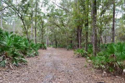 Terreno en venta en Odessa, Florida № 1512448 - foto 20
