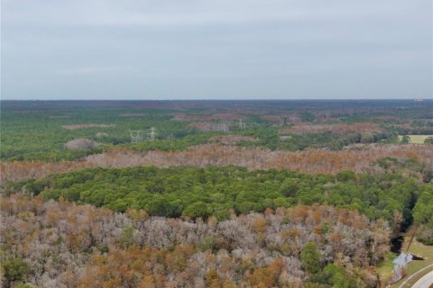 Terreno en venta en Odessa, Florida № 1512448 - foto 2