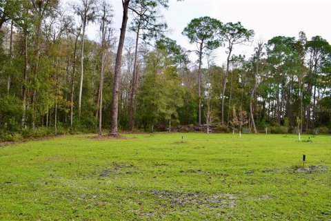 Terreno en venta en Odessa, Florida № 1512448 - foto 23