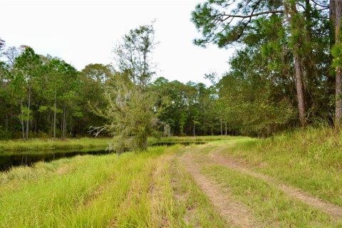 Terreno en venta en Odessa, Florida № 1512448 - foto 15
