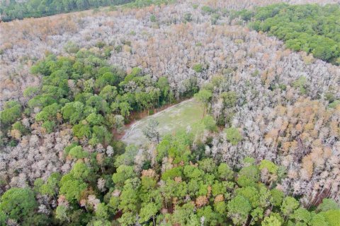 Terreno en venta en Odessa, Florida № 1512448 - foto 4