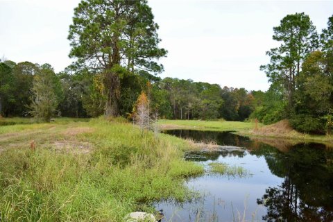Terreno en venta en Odessa, Florida № 1512448 - foto 13