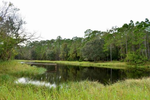 Terreno en venta en Odessa, Florida № 1512448 - foto 14