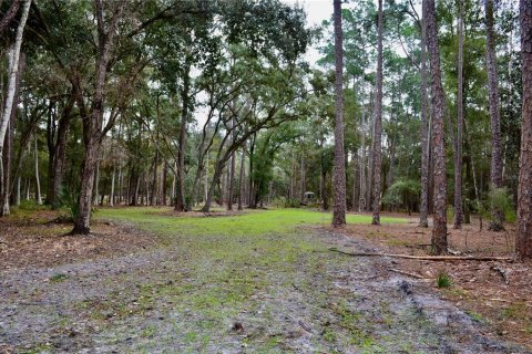 Terreno en venta en Odessa, Florida № 1512448 - foto 16