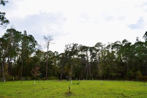 Terreno en venta en Odessa, Florida № 1512448 - foto 25