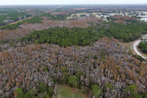 Terreno en venta en Odessa, Florida № 1512448 - foto 5