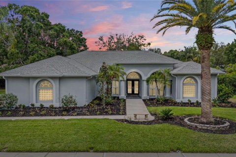 Casa en Palm Harbor, Florida 5 dormitorios, 282.61 m2 № 2167307