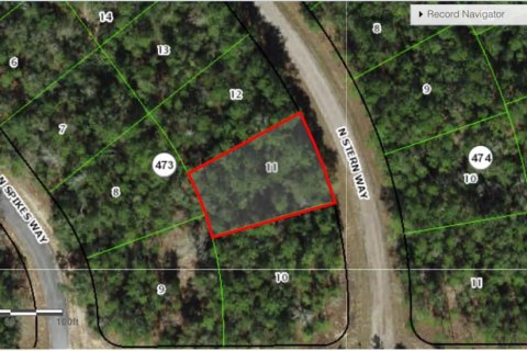 Land in Citrus Springs, Florida № 2228627