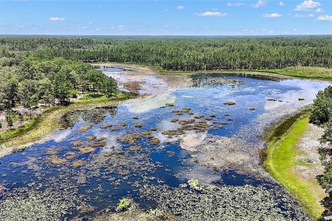 Land in Ocklawaha, Florida № 2159775 - photo 7