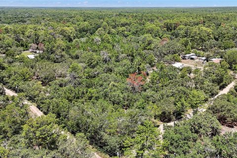 Land in Ocklawaha, Florida № 2159775 - photo 10