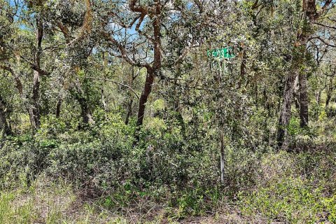 Land in Ocklawaha, Florida № 2159775 - photo 4