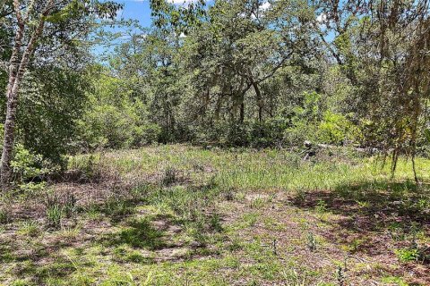 Land in Ocklawaha, Florida № 2159775 - photo 2