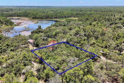Land in Ocklawaha, Florida № 2159775