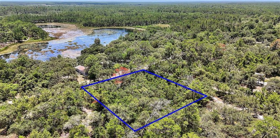 Land in Ocklawaha, Florida № 2159775