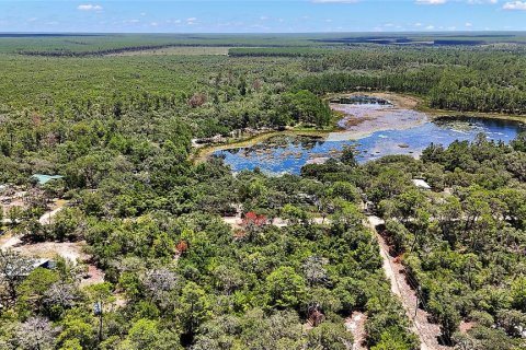 Land in Ocklawaha, Florida № 2159775 - photo 6