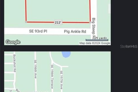 Land in Ocklawaha, Florida № 2159775 - photo 8