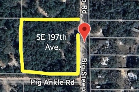 Land in Ocklawaha, Florida № 2159775 - photo 5