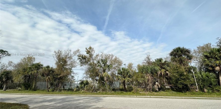 Terrain à Port Charlotte, Floride № 1820242
