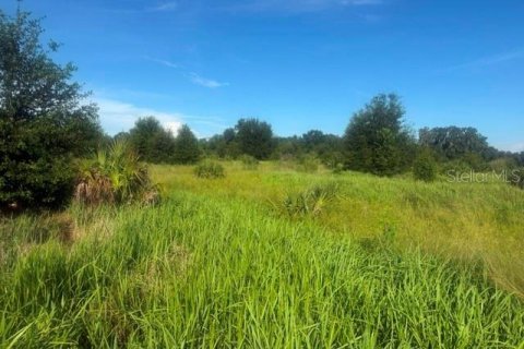 Land in Fish Hawk, Florida № 2360488