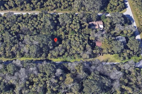 Land in Port Charlotte, Florida № 2160469 - photo 3