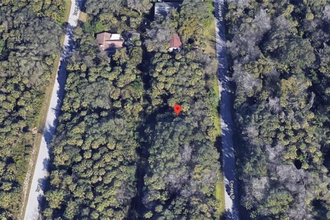 Land in Port Charlotte, Florida № 2160469 - photo 4