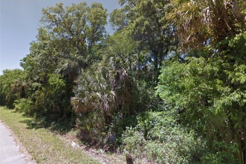 Land in Port Charlotte, Florida № 2160469 - photo 6
