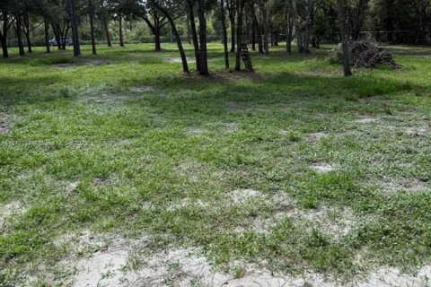 Terreno en venta en Clewiston, Florida № 1940076 - foto 24