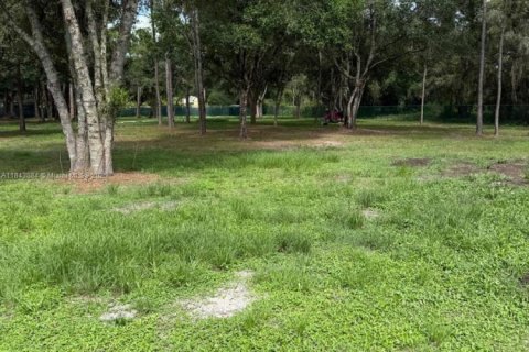 Terreno en venta en Clewiston, Florida № 1940076 - foto 11