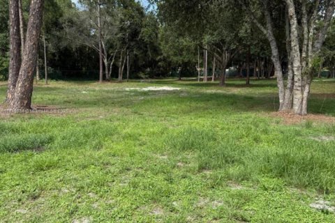 Terreno en venta en Clewiston, Florida № 1940076 - foto 13