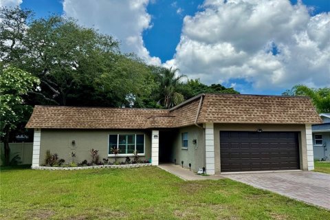 Villa ou maison à Palm Harbor, Floride 3 chambres, 149.48 m2 № 2223669