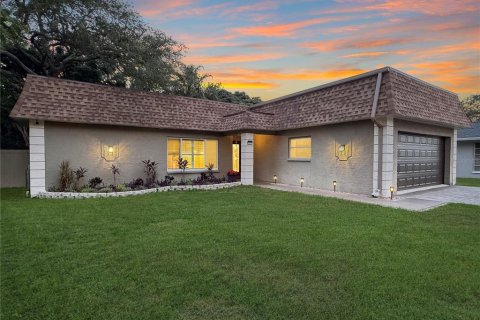 Villa ou maison à vendre à Palm Harbor, Floride: 3 chambres, 149.48 m2 № 2223669 - photo 3