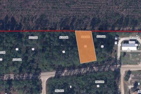 Land in Interlachen, Florida № 2162570
