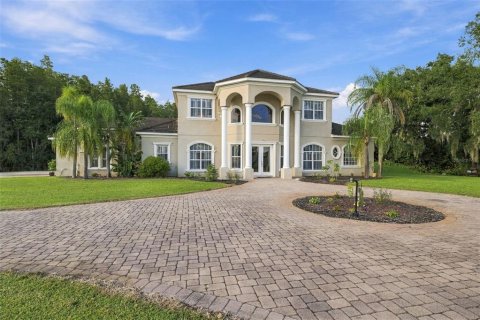 Villa ou maison à vendre à Lutz, Floride: 5 chambres, 328.22 m2 № 2411452 - photo 5