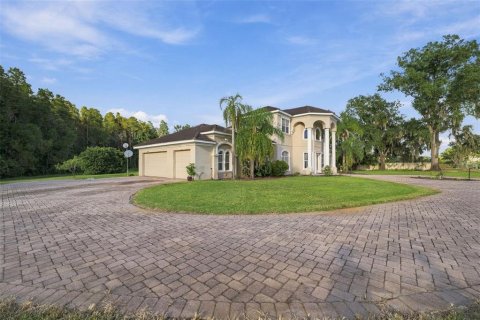 Villa ou maison à vendre à Lutz, Floride: 5 chambres, 328.22 m2 № 2411452 - photo 6