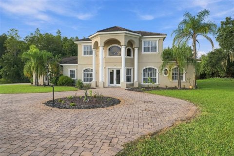 Villa ou maison à vendre à Lutz, Floride: 5 chambres, 328.22 m2 № 2411452 - photo 4