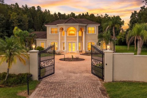 Villa ou maison à Lutz, Floride 5 chambres, 328.22 m2 № 2411452