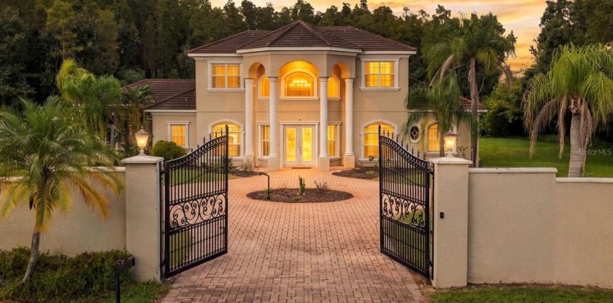 Villa ou maison à Lutz, Floride 5 chambres, 328.22 m2 № 2411452