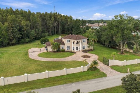 Villa ou maison à vendre à Lutz, Floride: 5 chambres, 328.22 m2 № 2411452 - photo 9